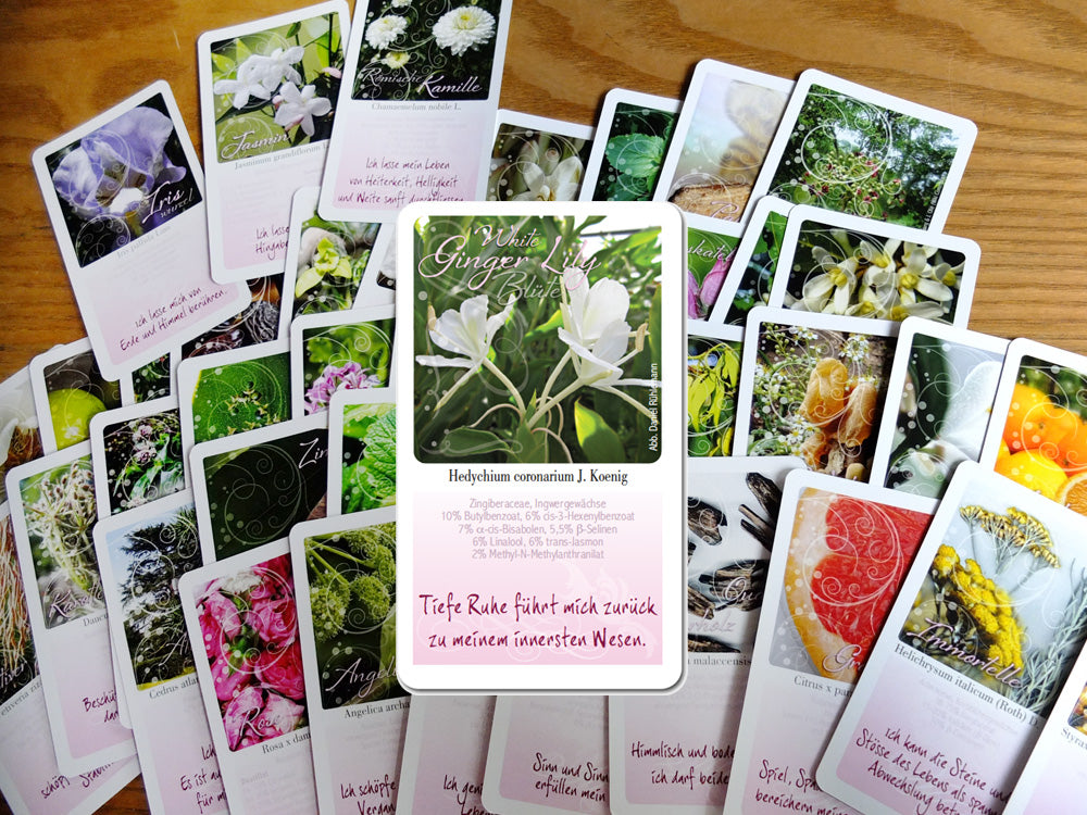 Kartenset - Heilende Düfte von Eliane Zimmermann