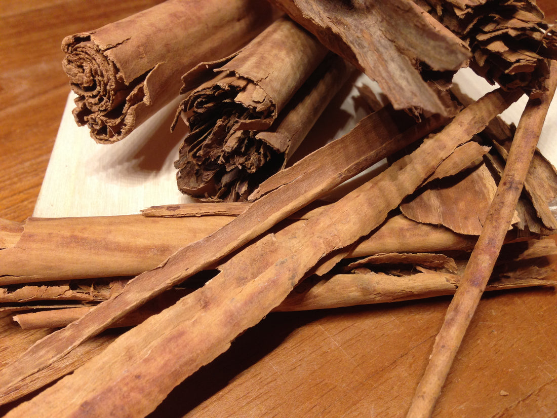 Cinnamomum zeylanicum