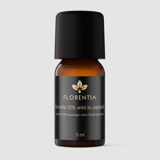 Boronia 10% wild in Jojobaöl bio/KP Bio 3 ml