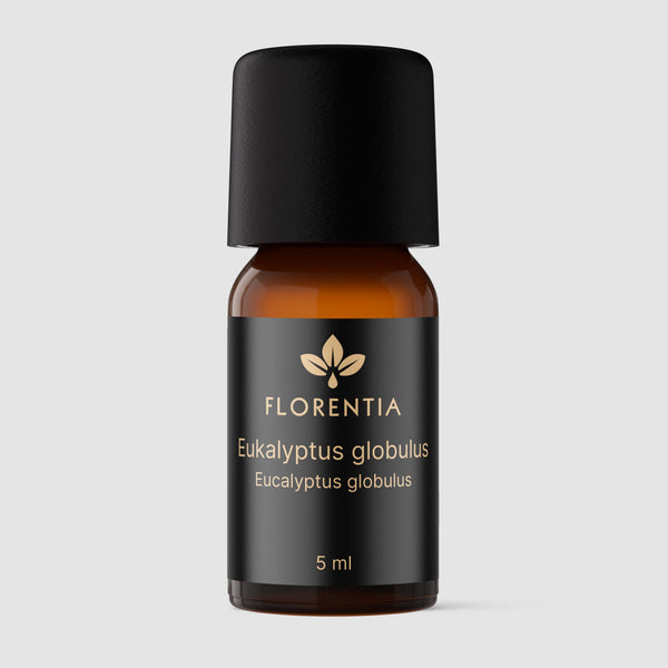Eukalyptus globulus Bio 5 ml