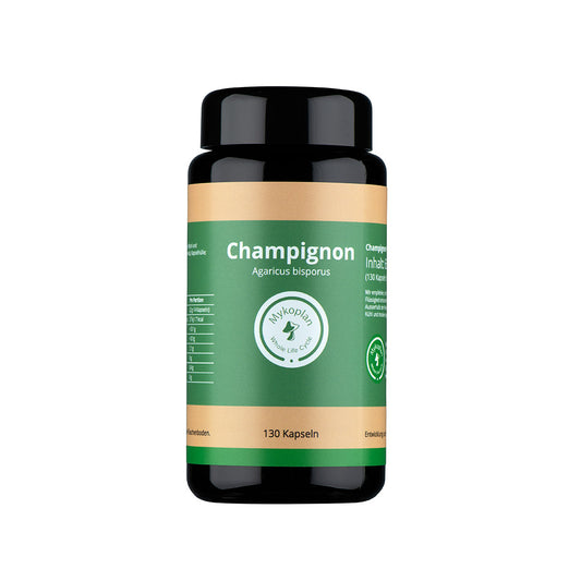 Bio Champignon