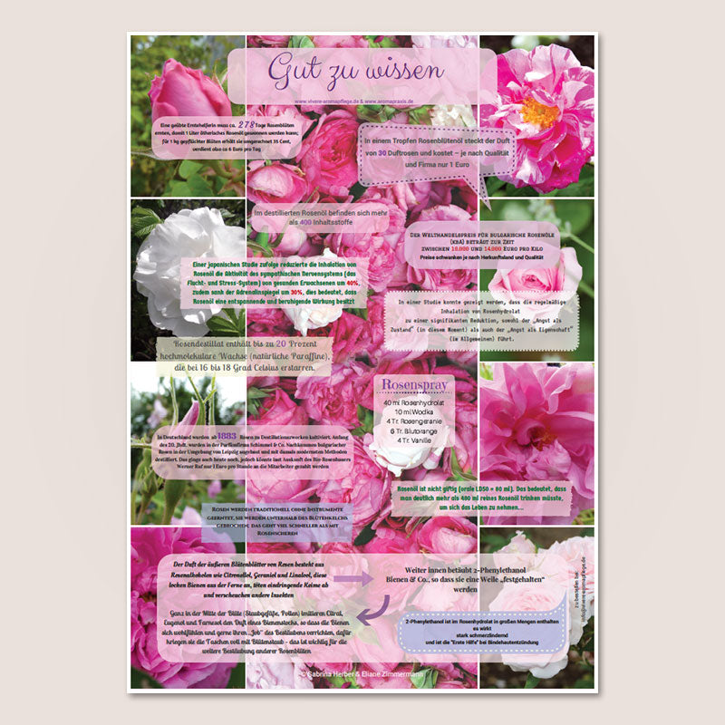 Poster A2 “Rosen”