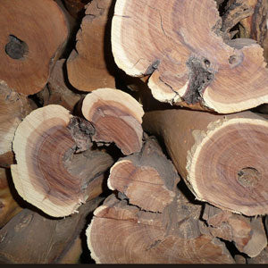 Sandelholz Neukaledonien 3 ml