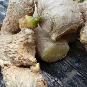 ätherische Öle - Ingwer;ätherische Öle - Ingwer